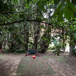 Vatican Quiet With Garden & Parking Rom